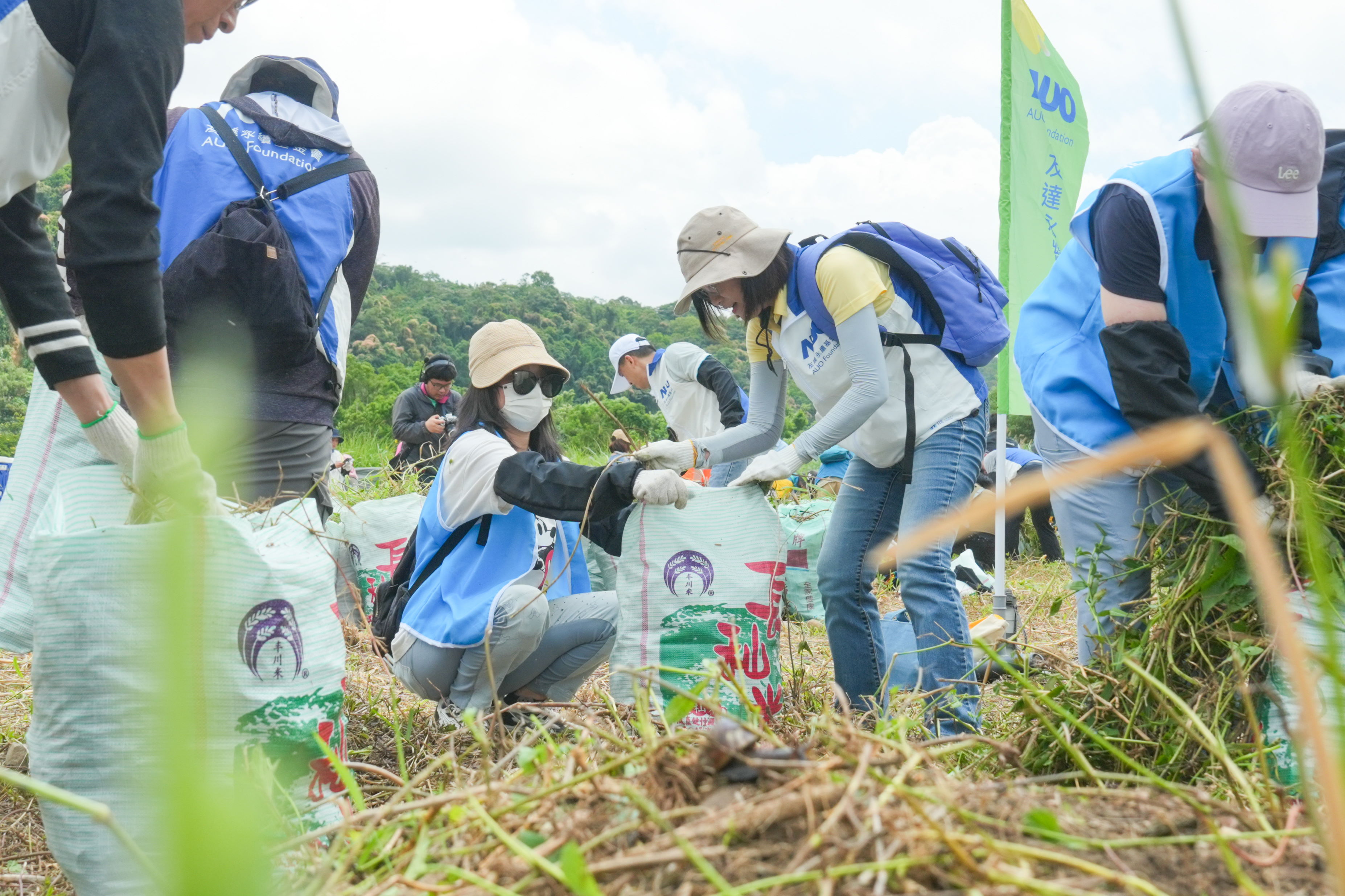 友達(dá)除蔓防治計畫 ，除了鎖定霄裡溪沿岸3.2公里移除外來入侵種小花蔓澤蘭  ，並進(jìn)行物種與空拍調(diào)查，共記錄91科181屬239種維管束植物 ，顯示該區(qū)域具高度生態(tài)價值
